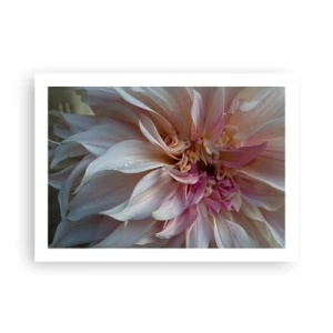 Plakat - Blomstrende friskhed - 70x50 cm