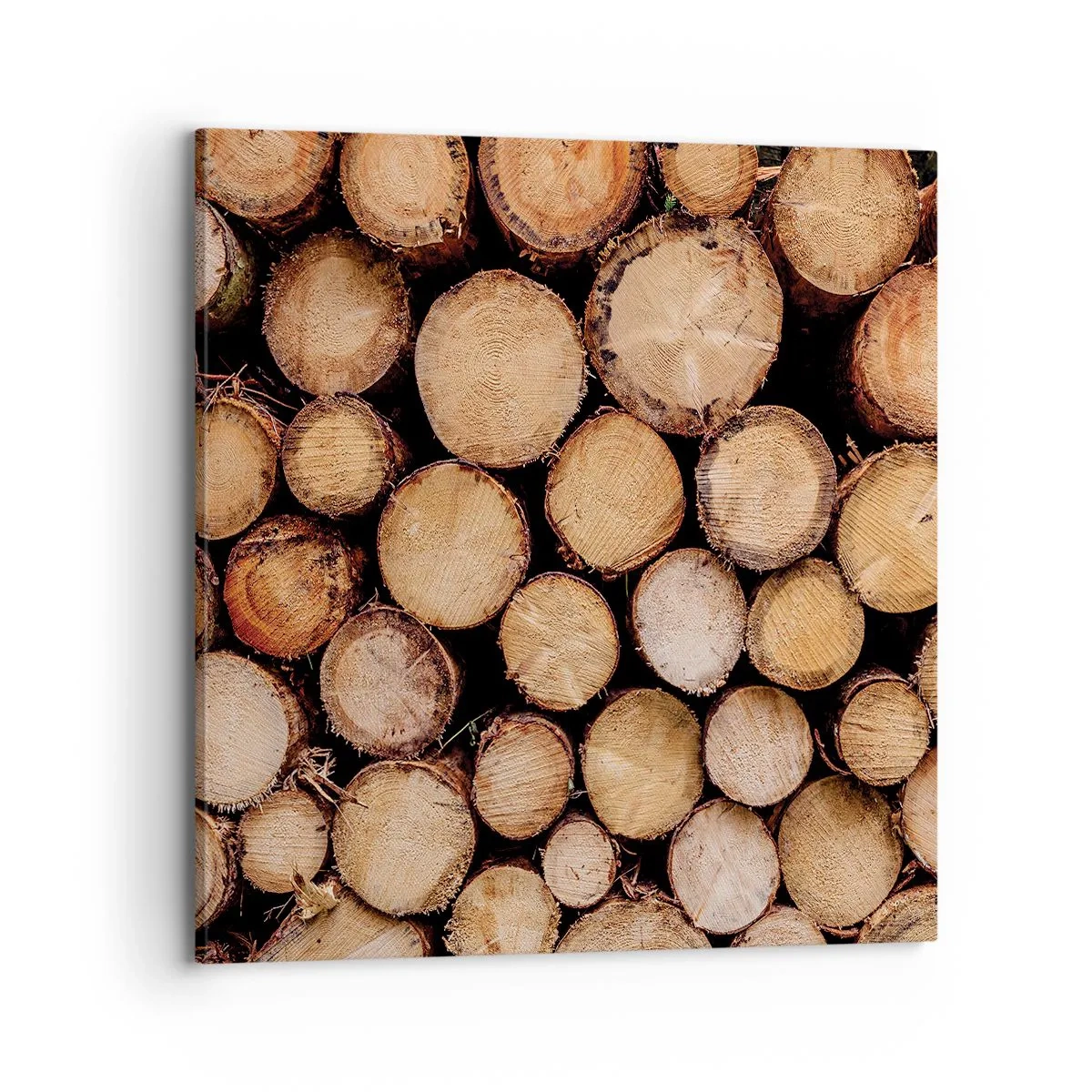 Lærredstryk - Billede på lærred - En ny begyndelse - 70x70 cm