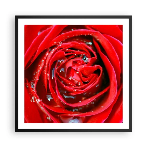 Plakat i sort ramme - I dråber af dug - 60x60 cm