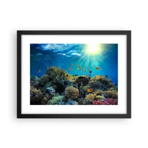 Plakat i sort ramme - Undervandsskatte - 40x30 cm