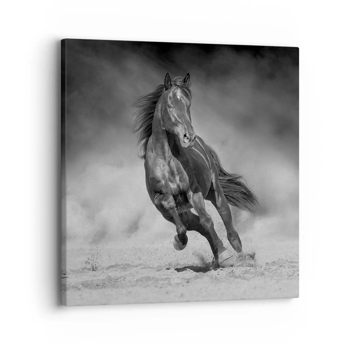 Lærredstryk - Billede på lærred - Værdig til emiren selv - 30x30 cm