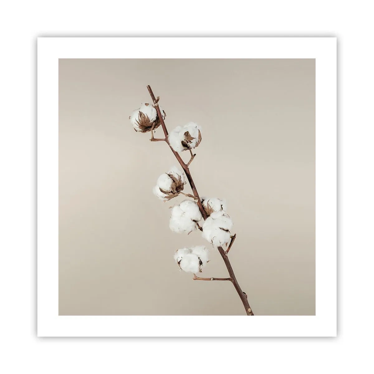 Plakat - Ved kilden til blødhed - 50x50 cm