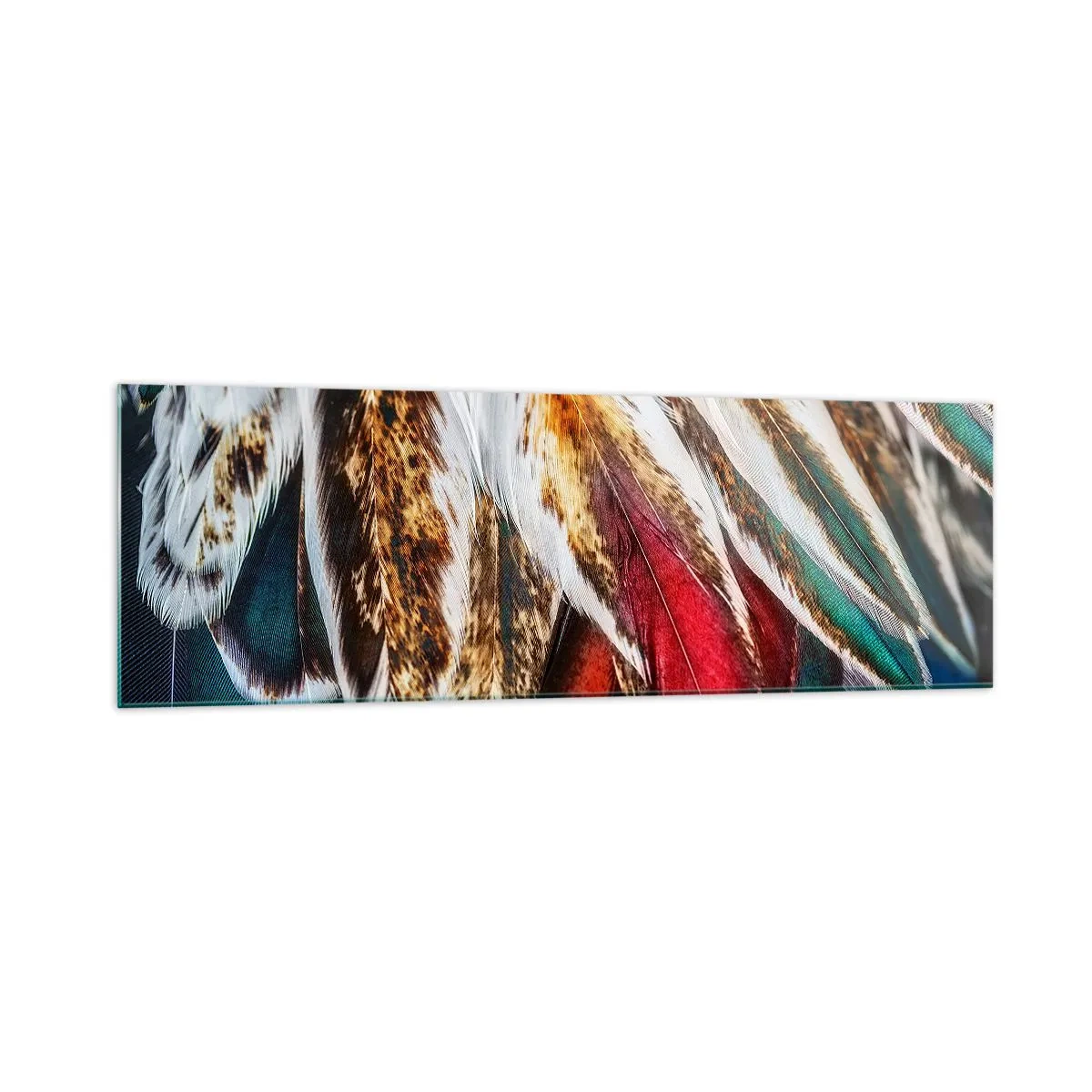 Billede på glas - Flyvningens hemmeligheder - 160x50 cm