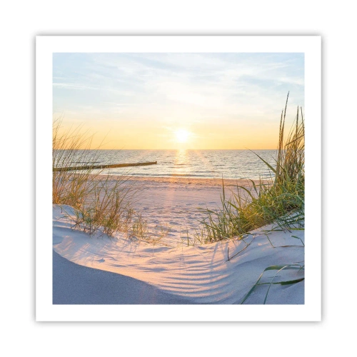 Plakat - Havet brummer, fuglene synger, en vild strand midt i græsset.... - 60x60 cm