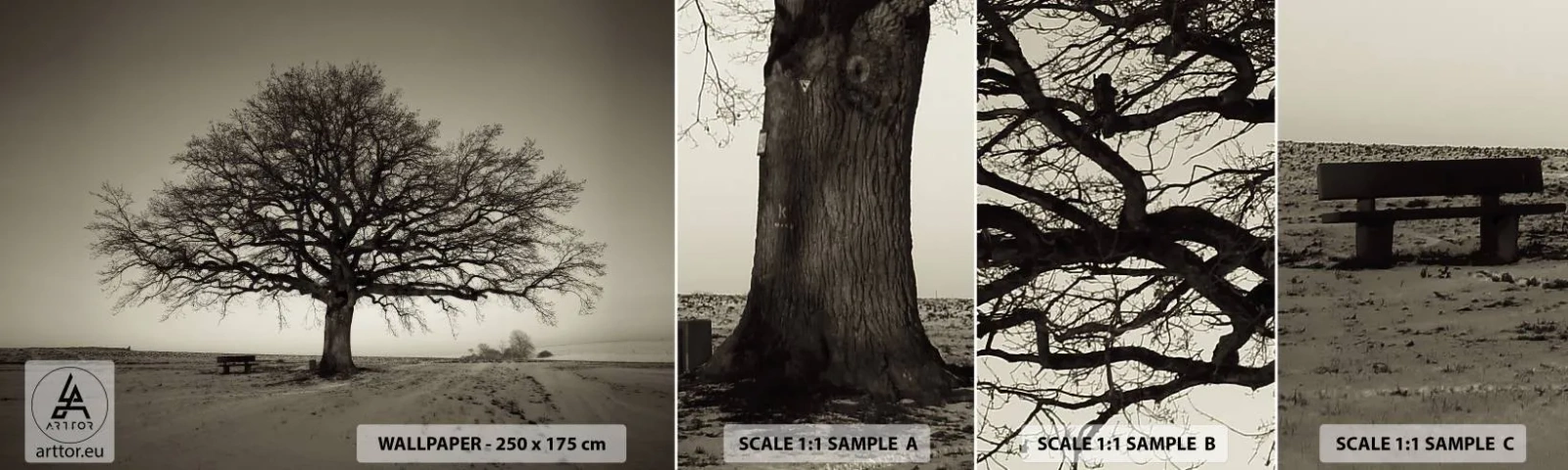 Prøve Fototapet Selvklæbende Deluxe Sticker - Herfra og til evigheden - Landskab, Træ, Natur - 100x30 cm