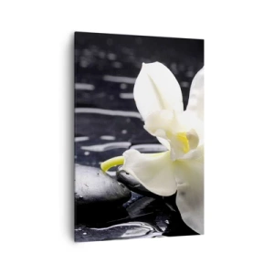 Lærredstryk - Billede på lærred - Studie i sort og hvidt - 70x100 cm