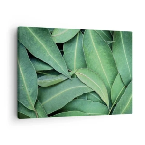 Lærredstryk - Billede på lærred - Nærbillede af grønne blade, der skaber et naturligt mønster - 70x50cm - Saftig og frisk - Moderne vægdekoration til stue og soveværelse ARTTOR