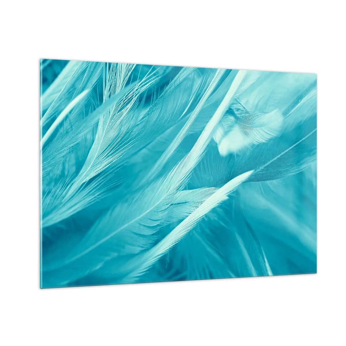 Billede på glas - At drukne i fluff - 100x70 cm