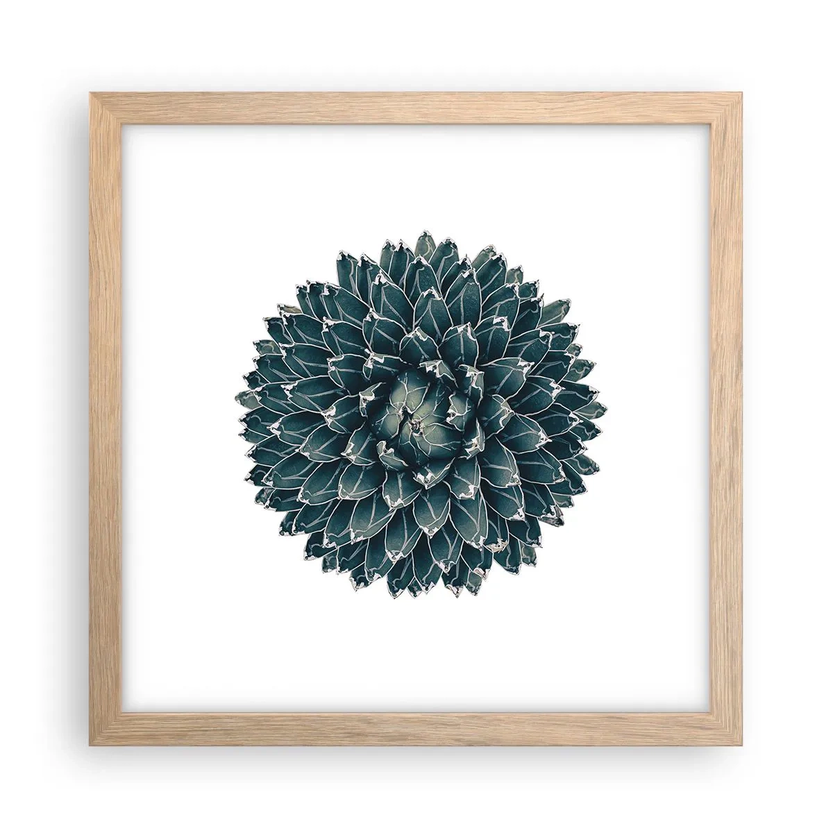 Plakat i ramme af lyst egetræ - Ørkenstjerne - 30x30 cm