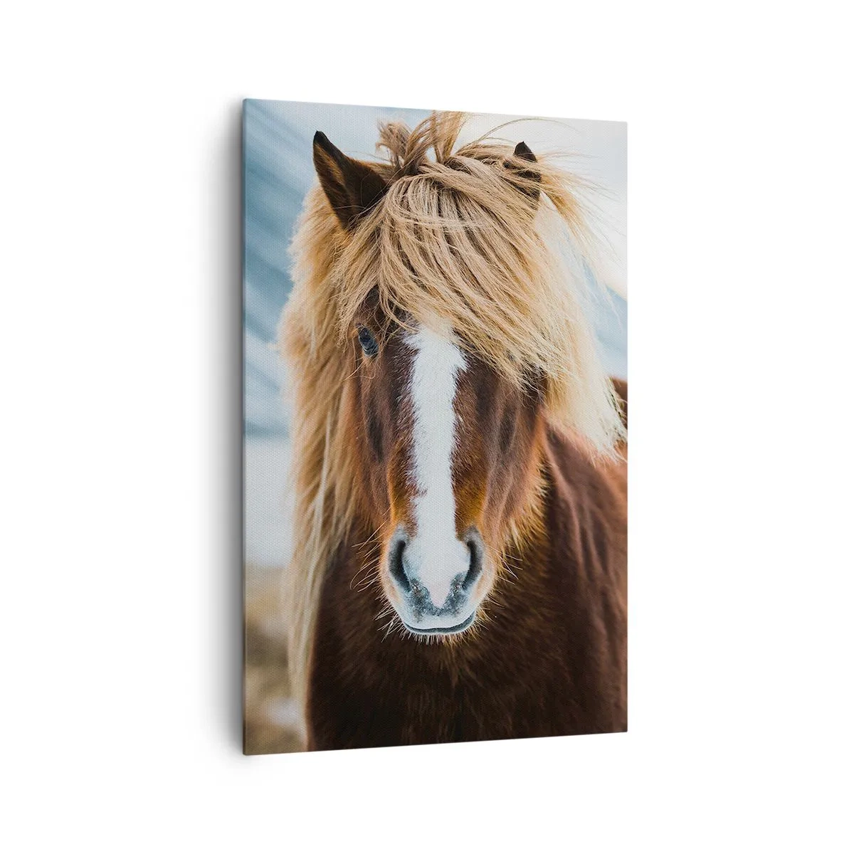 Lærredstryk - Billede på lærred - Kan du mærke friheden? - 80x120 cm