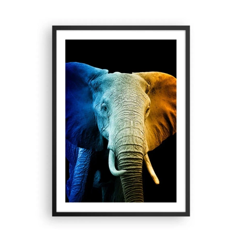 Plakat i sort ramme - Et farverigt billede af en elefant på en sort baggrund - 50x70cm - Excentrisk, ikke underlig - Moderne vægdekoration til stue og soveværelse ARTTOR