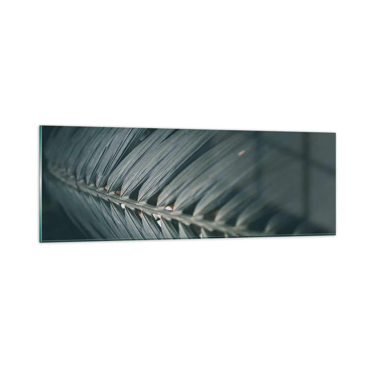 Billede på glas - Naturens præcision - 90x30 cm