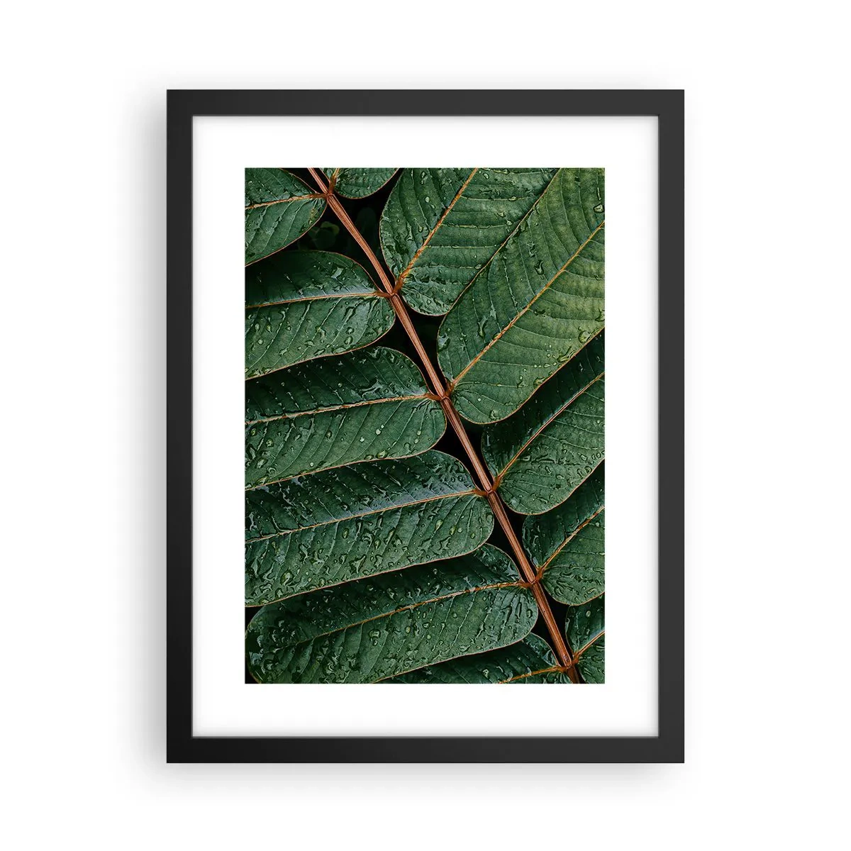 Plakat i sort ramme - I en grøn rytme - 30x40 cm