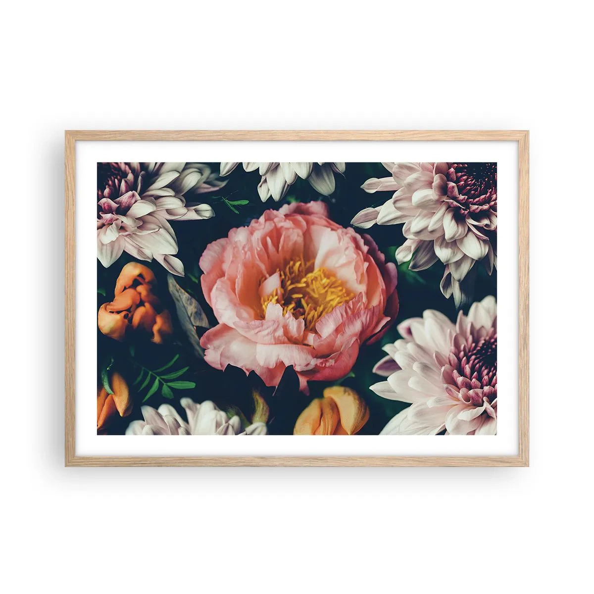 Plakat i ramme af lyst egetræ - Med barok pragt - 70x50 cm