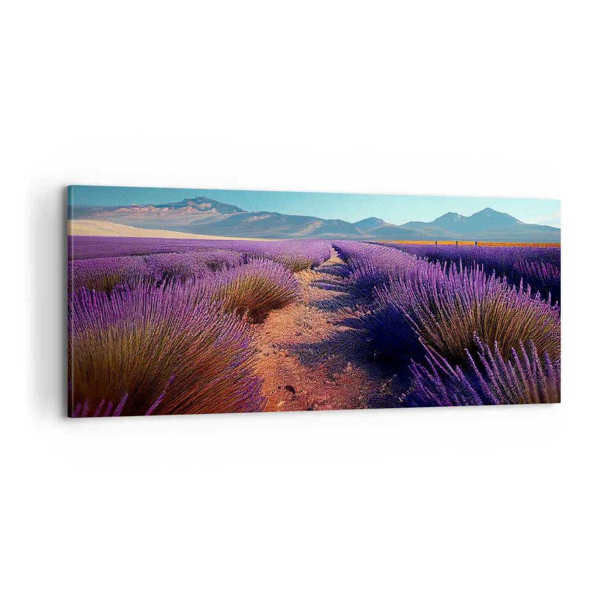 Lærredstryk - Billede på lærred - Duftende marker - 100x40 cm