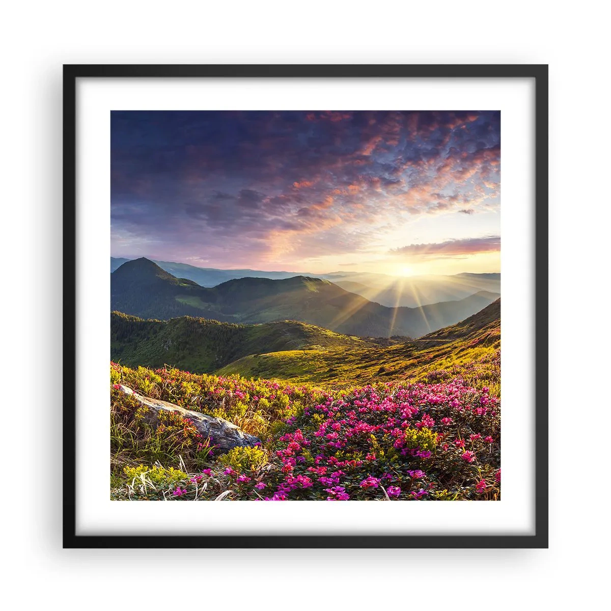 Plakat i sort ramme - Friskheden af en morgen i bjergene - 50x50 cm