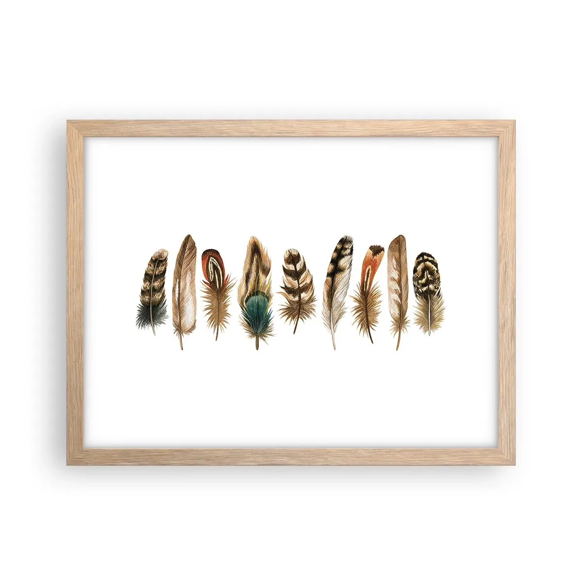 Plakat i ramme af lyst egetræ - Variation med fjer - 40x30 cm