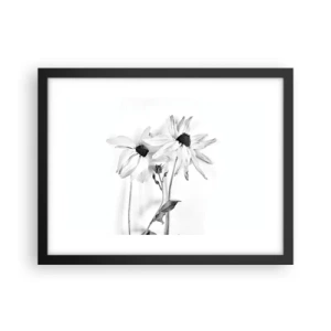 Plakat i sort ramme - Ingen ønsker at være alene - 40x30 cm