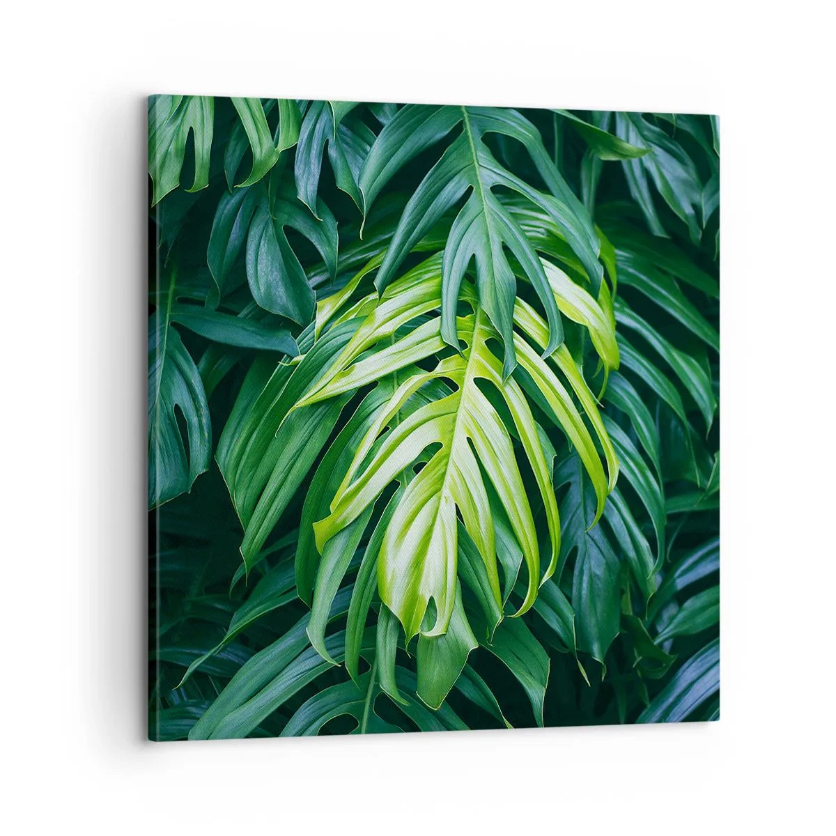 Lærredstryk - Billede på lærred - Fordyb dig i friskhed - 60x60 cm