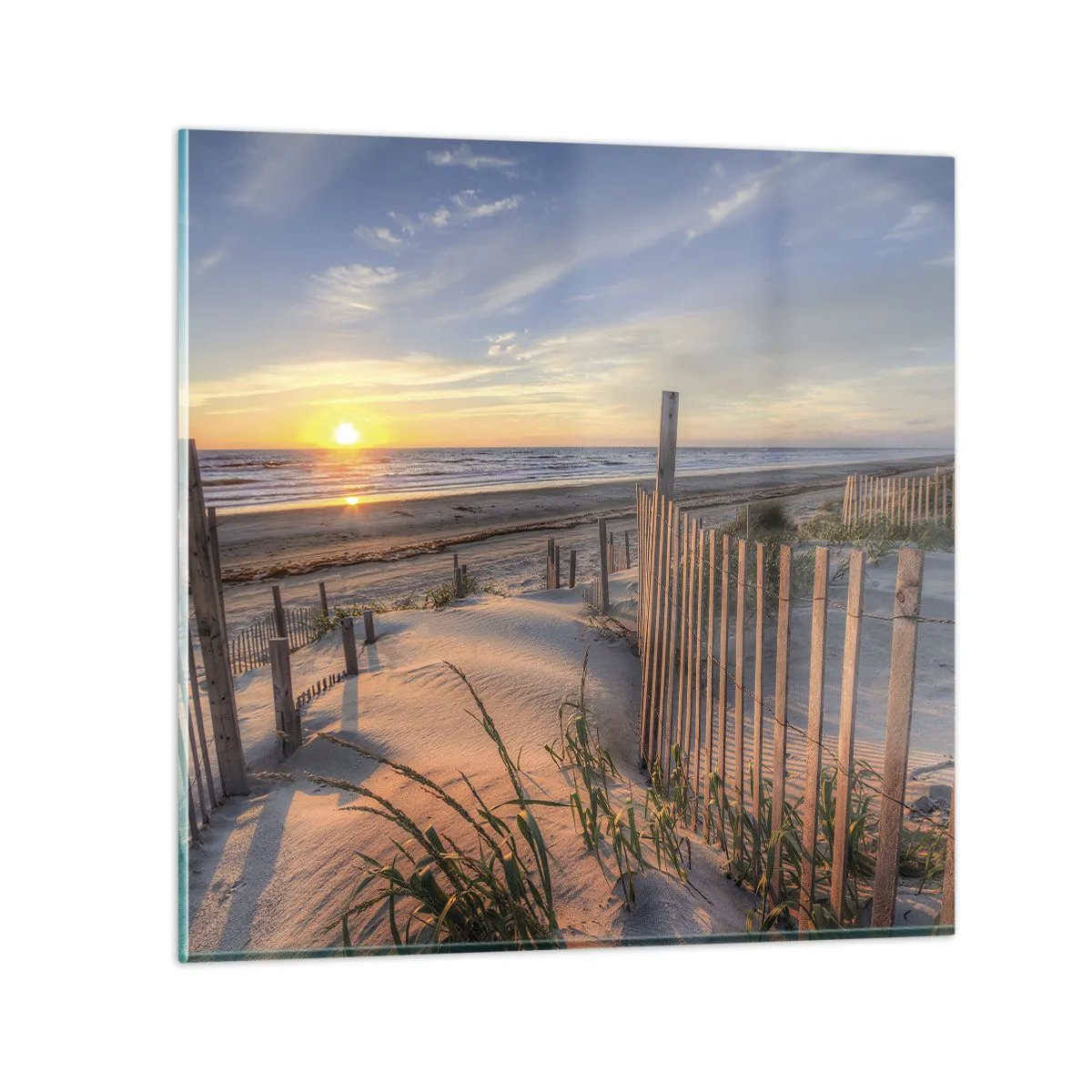 Billede på glas - Vindens blænding og skygge - 50x50 cm