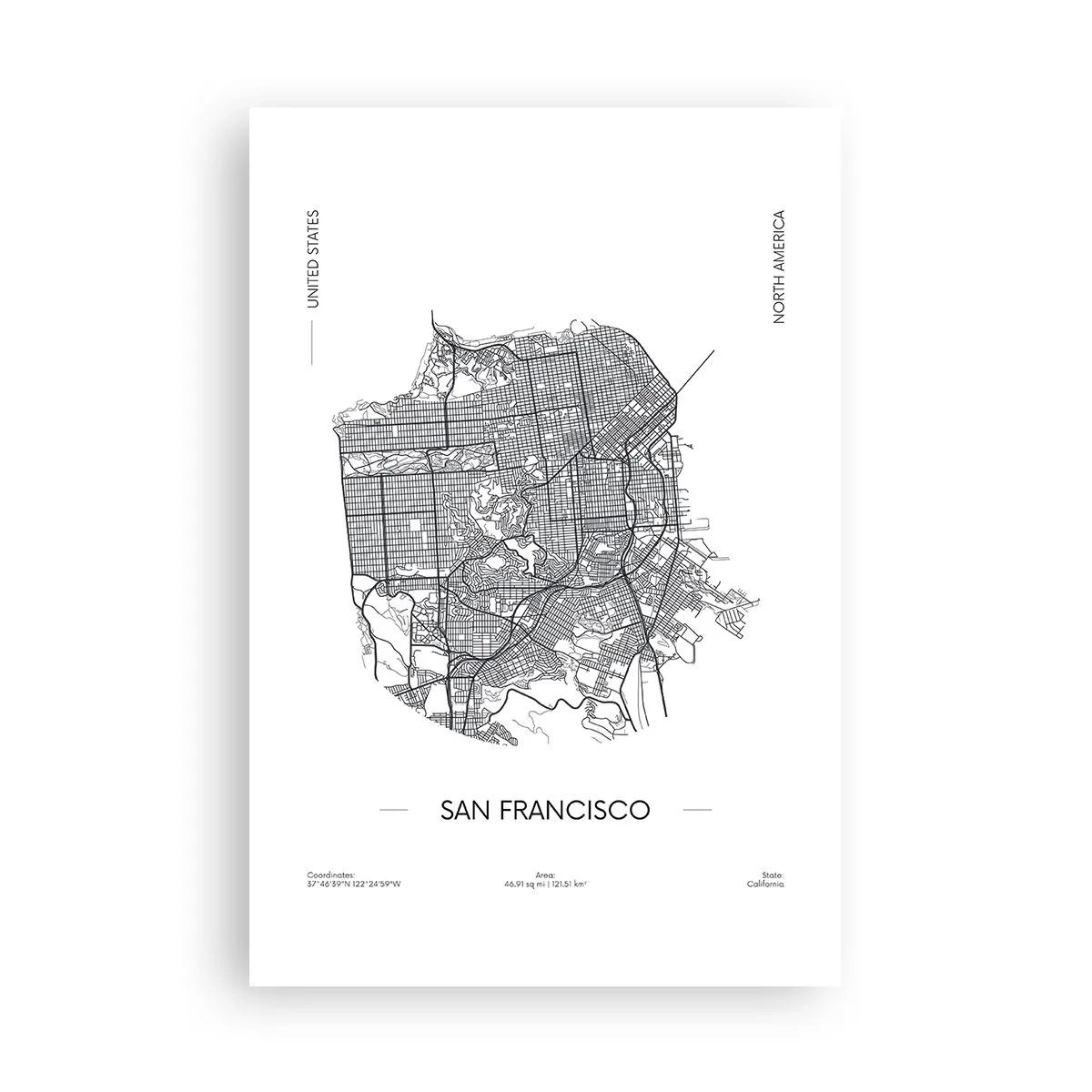 Plakat - San Franciscos anatomi - 61x91 cm