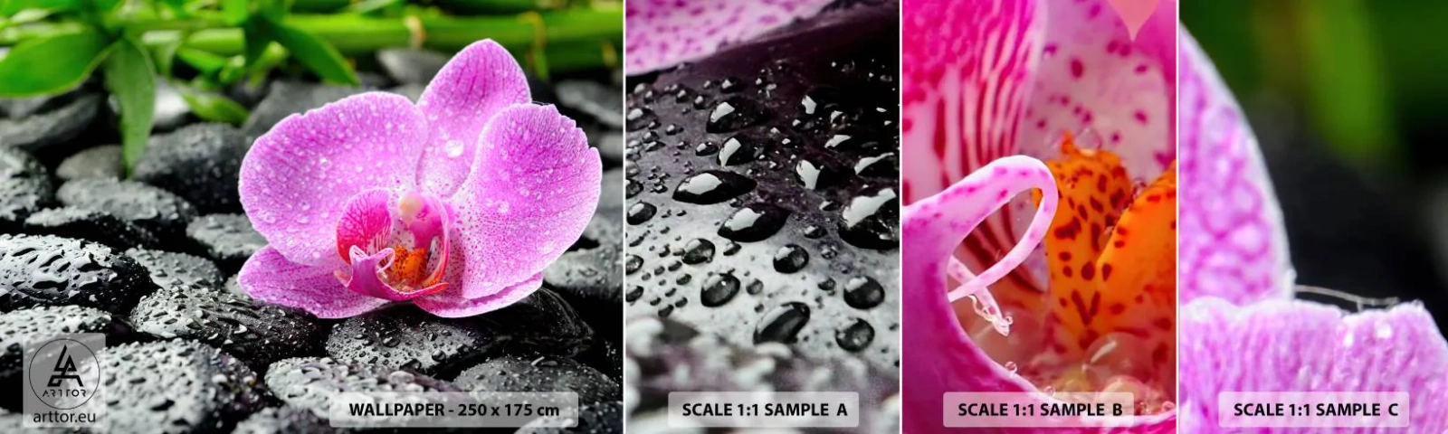 Fototapet Prøve Standard Eco - Som et åbent hjerte - Blomster, Orkidé, Orkidé - 100x30 cm