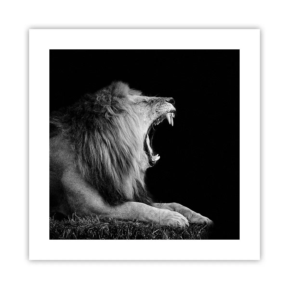 Plakat - Uden tvivl - 40x40 cm