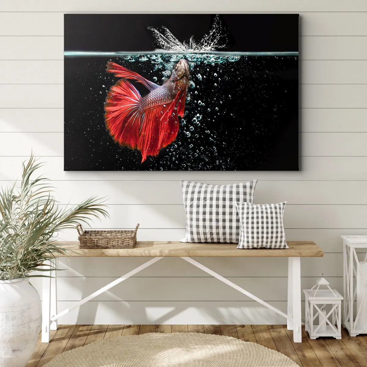 Lærredstryk - Billede på lærred - En storslået betta i vandet mod en mørk baggrund - 70x50cm - Du har tre ønsker - Moderne vægdekoration til stue og soveværelse ARTTOR