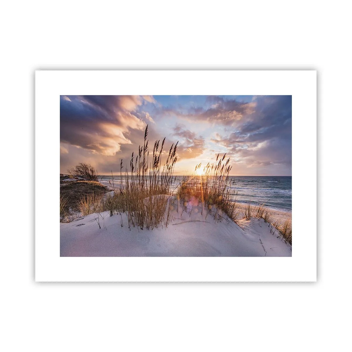 Plakat - Farvel til sol og vind - 40x30 cm