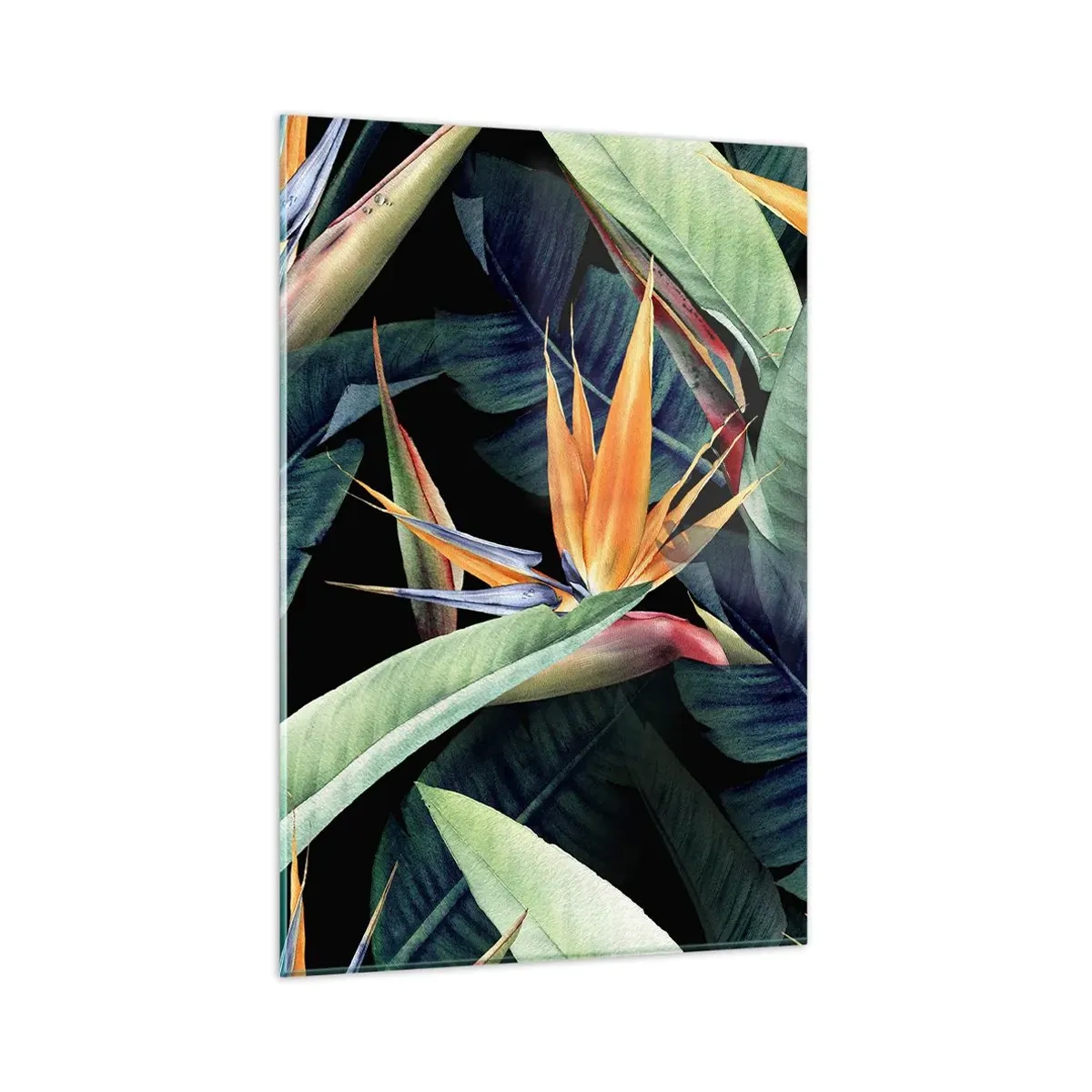 Billede på glas - Flammeblomster i troperne - 80x120 cm