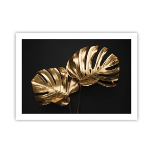 Plakat - Naturens skatte - 70x50 cm