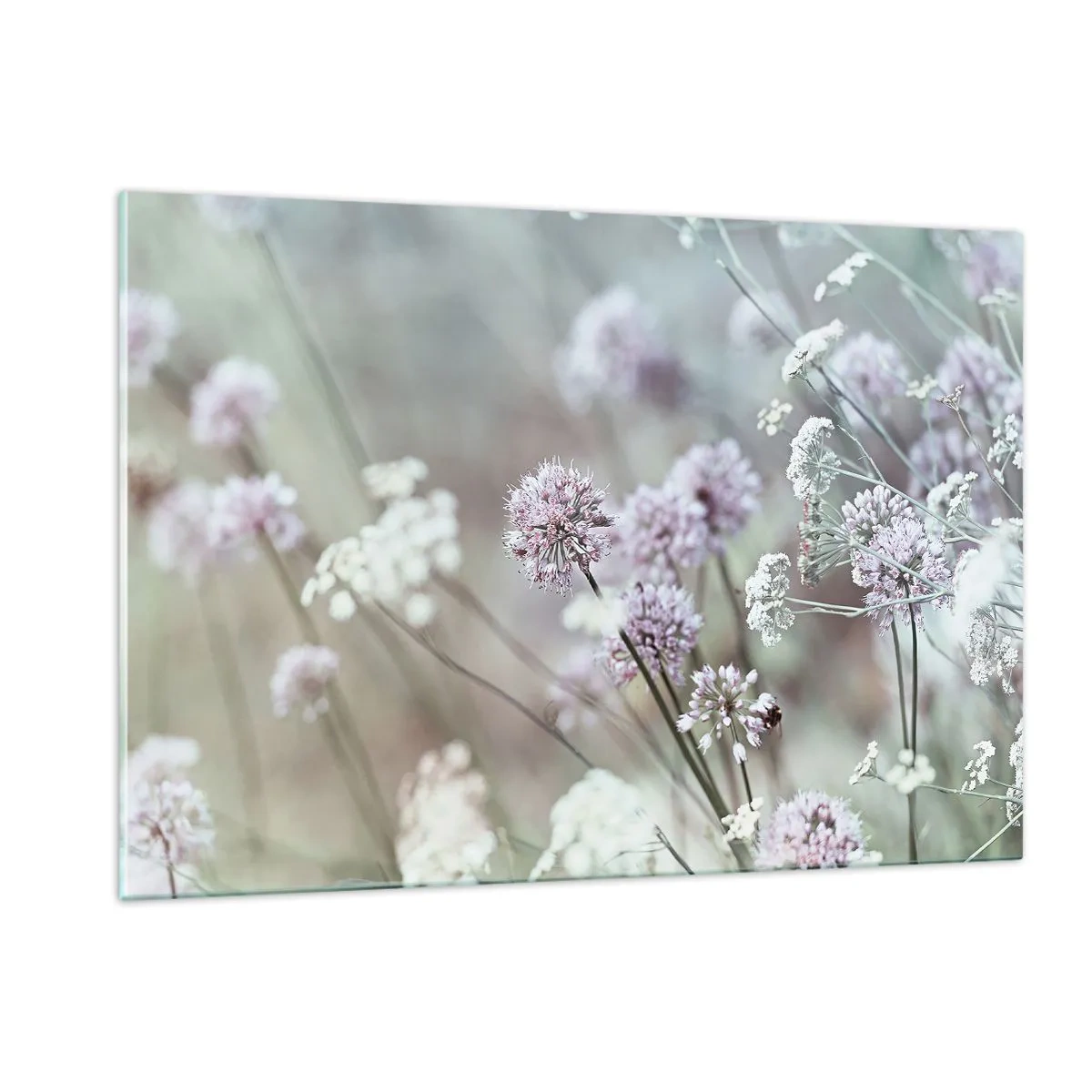 Billede på glas - Søde filigranurter - 120x80 cm