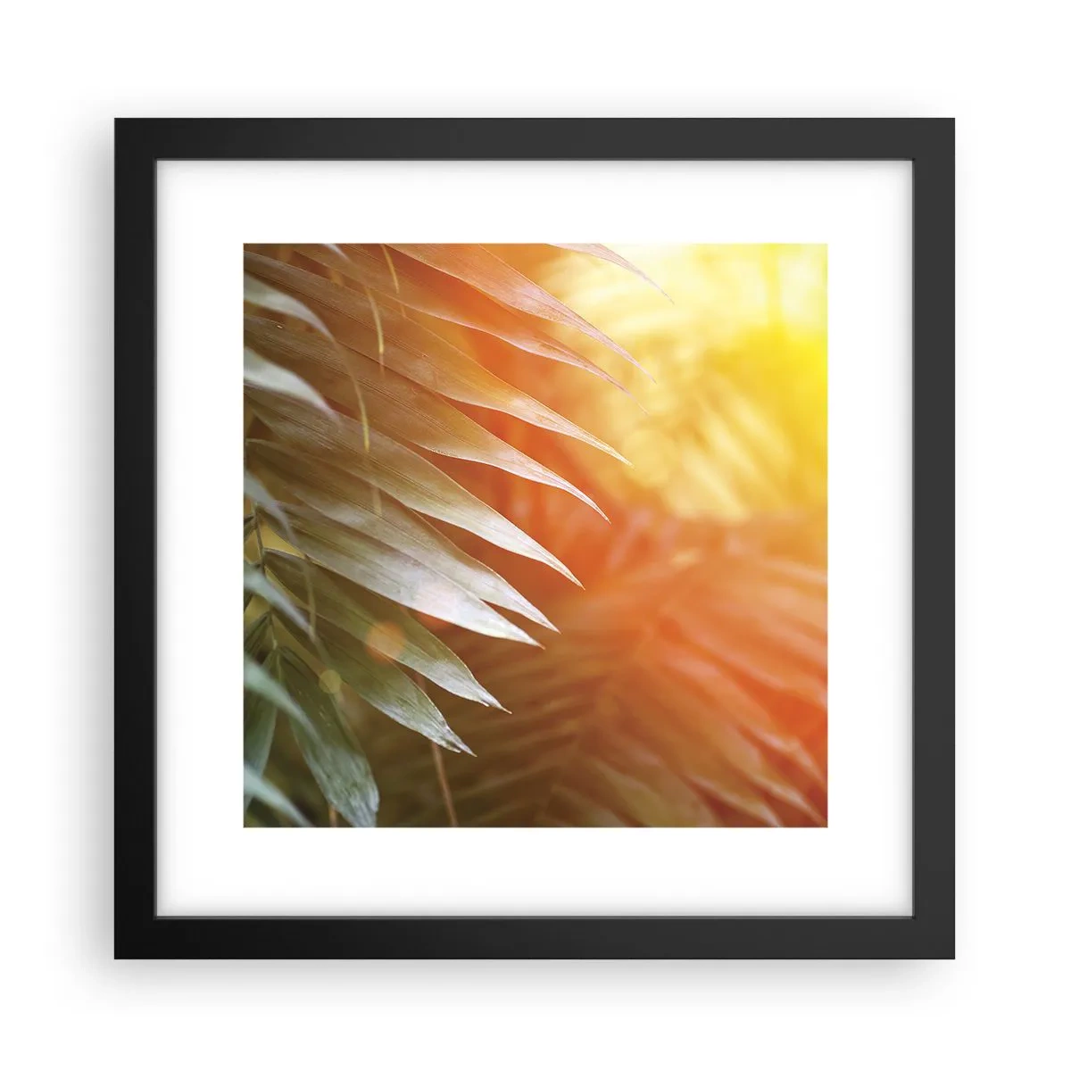 Plakat i sort ramme - Morgen i junglen - 30x30 cm