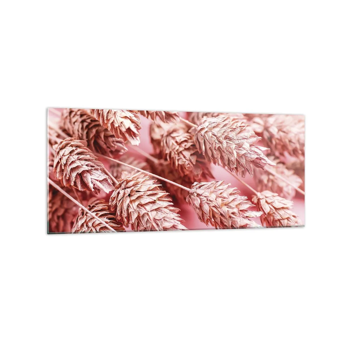 Billede på glas - Blomsterkaskade i lyserødt - 120x50 cm