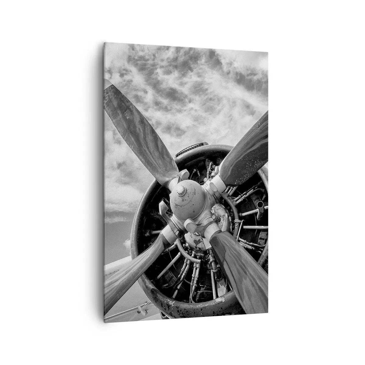 Lærredstryk - Billede på lærred - Himmelens erobrer - 80x120 cm