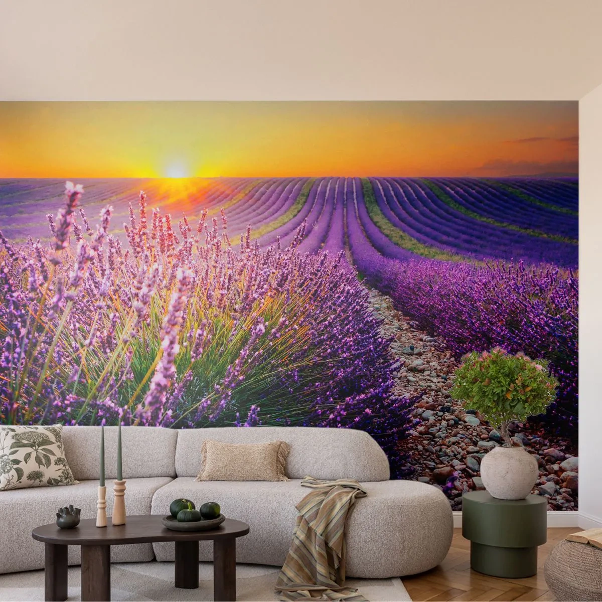 Fototapet Premium Canvas - Duftende plet - Landskab, Lavendelmark, Provence - 350x256 cm