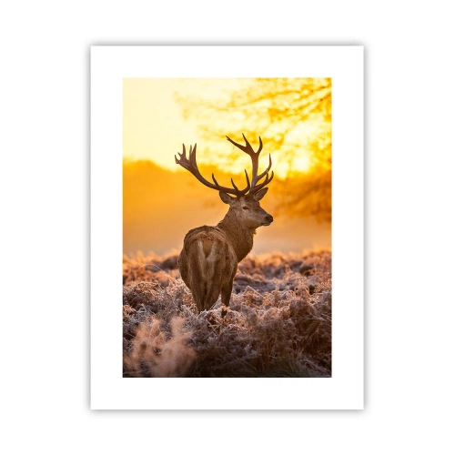 Plakat - Kongen af efterårsskoven - 30x40 cm