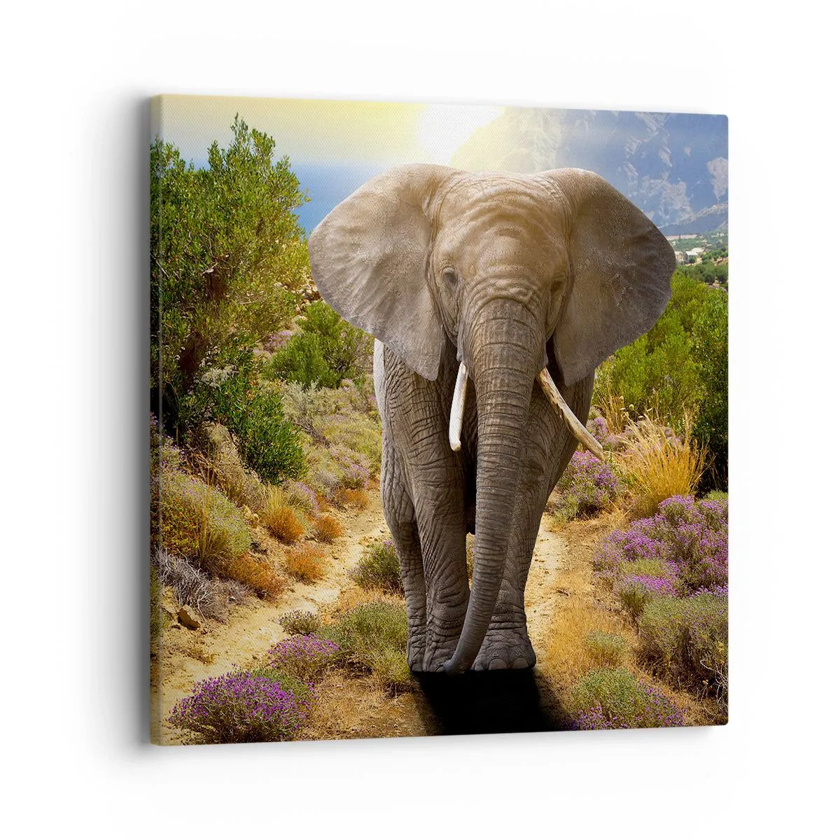 Lærredstryk - Billede på lærred - Sådan så Eden ud - 40x40 cm