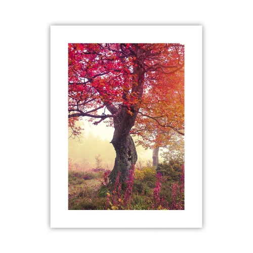 Plakat - Et væld af blomstring - 30x40 cm