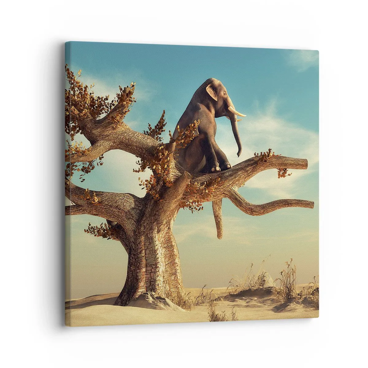 Lærredstryk - Billede på lærred - Et nyt synspunkt - 30x30 cm