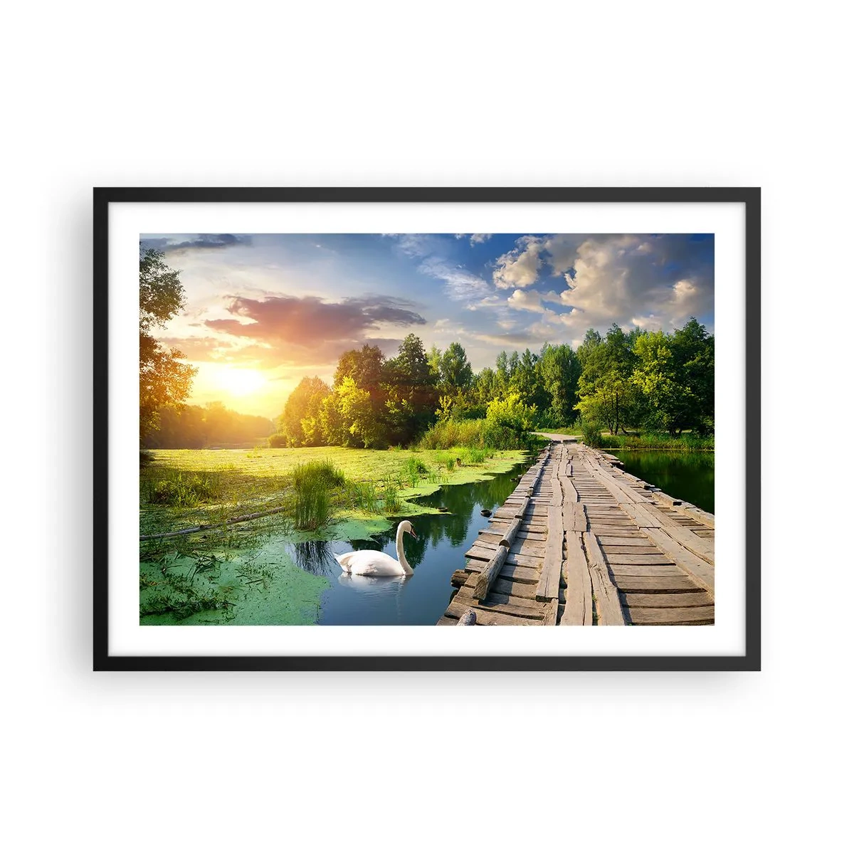 Plakat i sort ramme - Sommer, sommer overalt - 70x50 cm