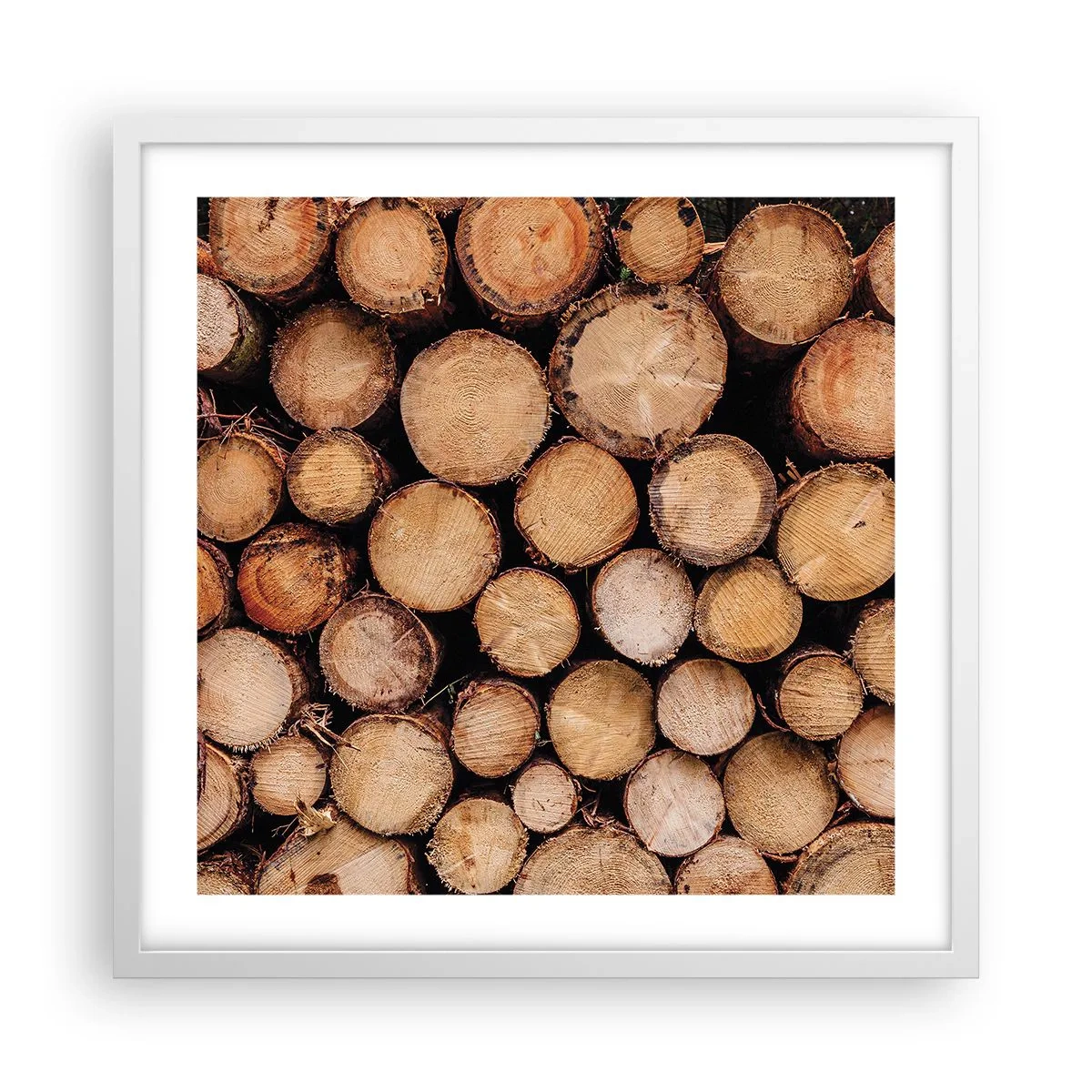 Plakat i hvid ramme - En ny begyndelse - 50x50 cm