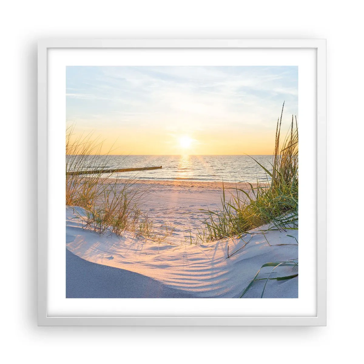 Plakat i hvid ramme - Havet brummer, fuglene synger, en vild strand midt i græsset.... - 50x50 cm