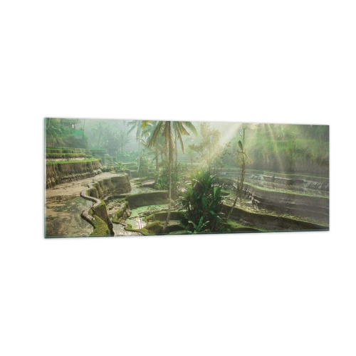 Billede på glas - Voksende op i solen - 140x50 cm