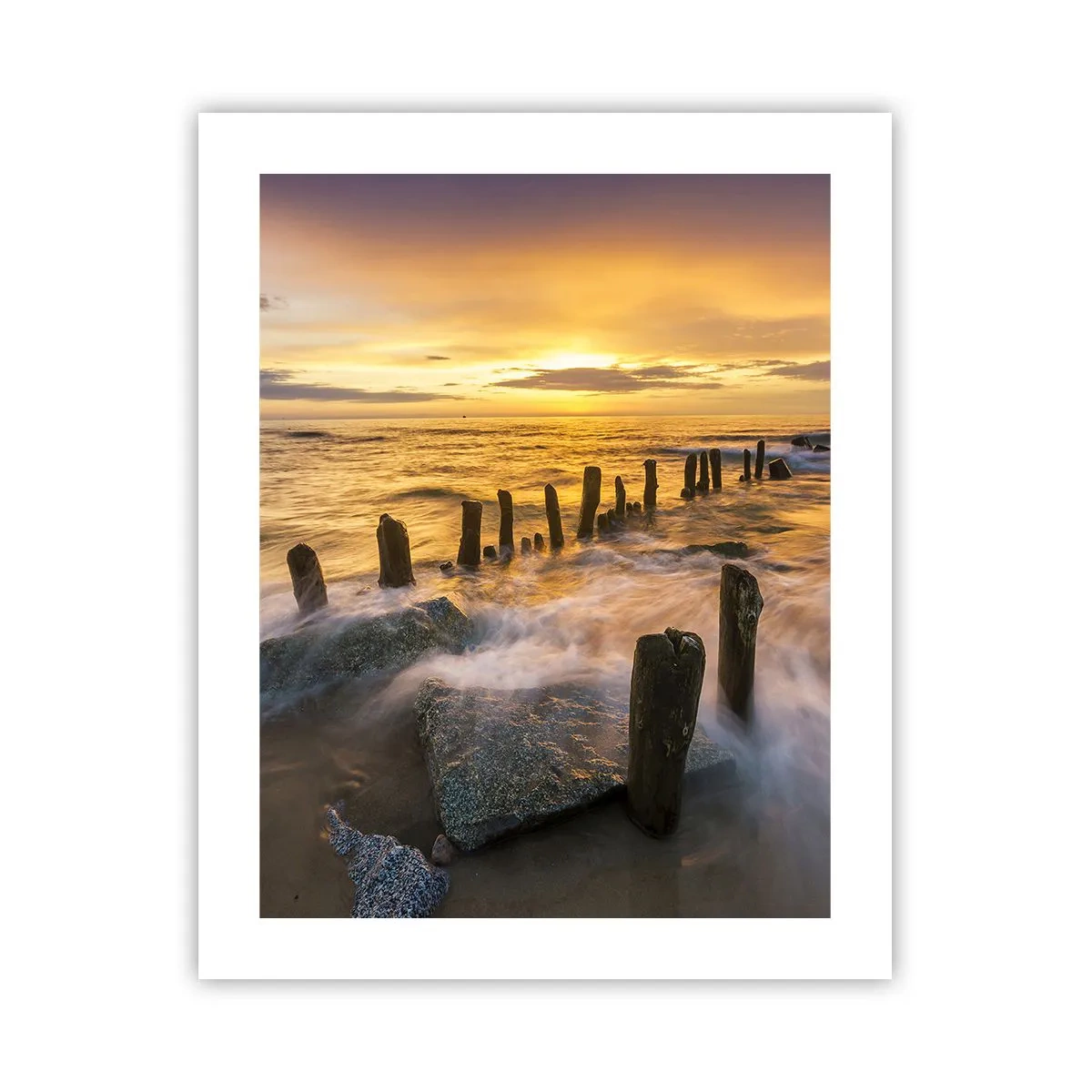 Plakat - Østersøens rå skønhed - 40x50 cm