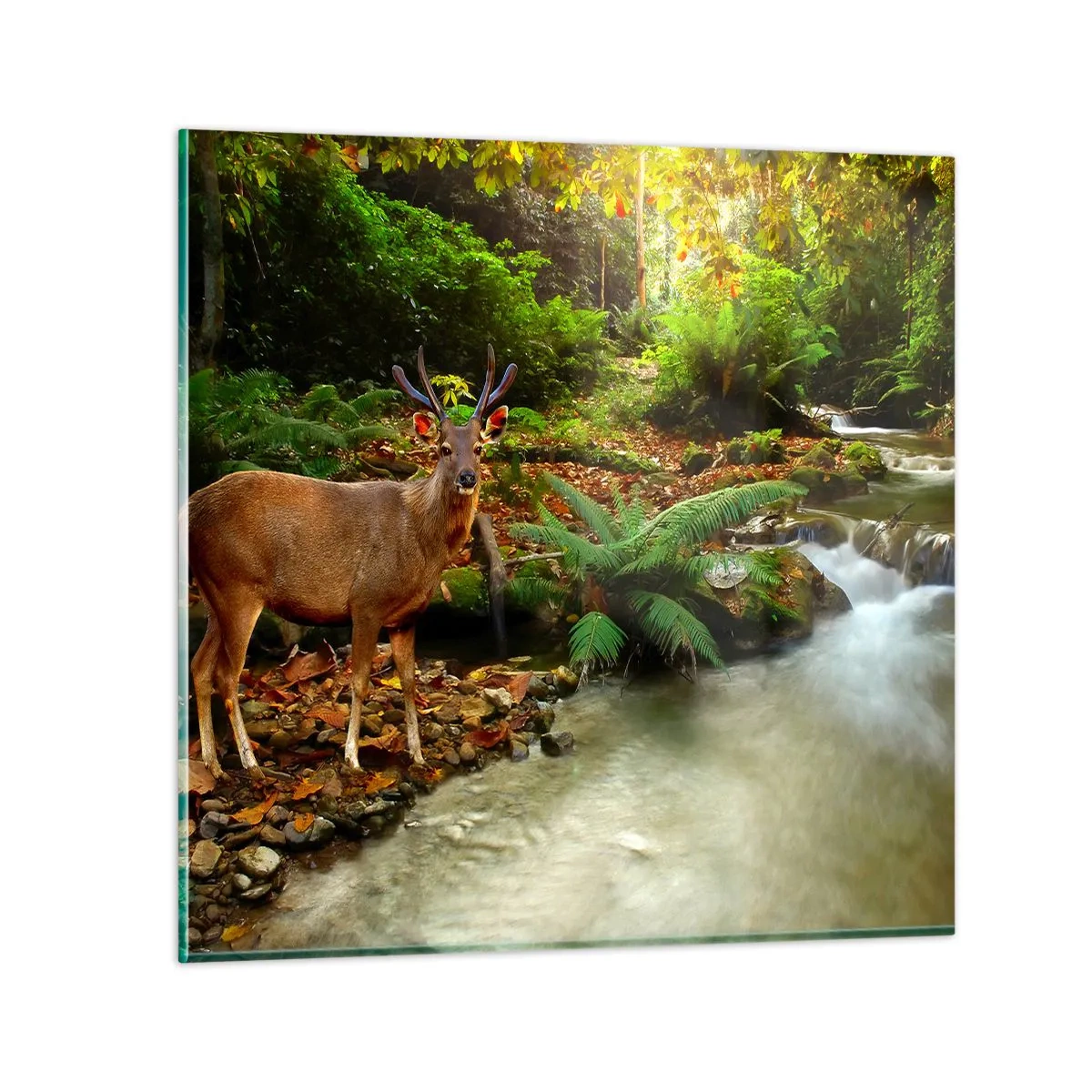 Billede på glas - Velkommen til min verden - 40x40 cm