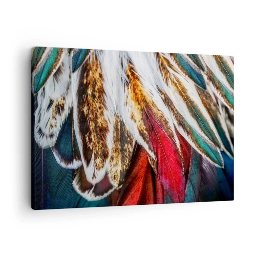 Lærredstryk - Billede på lærred - Nærbillede af flerfarvede fjer i levende, intense farver - 70x50cm - Flyvningens hemmeligheder - Moderne vægdekoration til stue og soveværelse ARTTOR