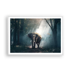 Plakat i hvid ramme - En fredelig gåtur - 100x70 cm