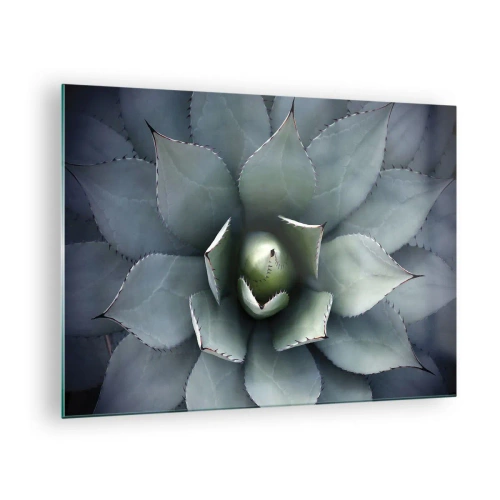 Billede på glas - Et nærbillede af de symmetriske, stålfarvede agaveblade. - 70x50cm - Lokkemad og advarsler - Moderne vægdekoration til stue og soveværelse ARTTOR