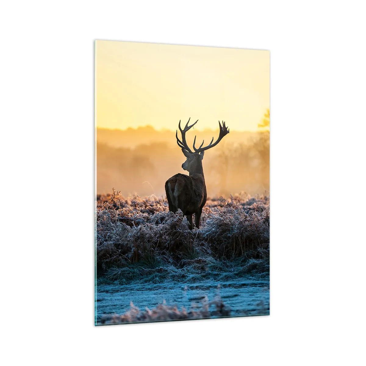 Billede på glas - Kronet på sine godser - 70x100 cm